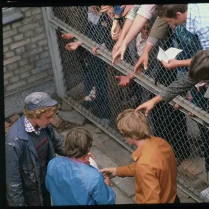 Images Dated 1980 August: 30 Aug 1980