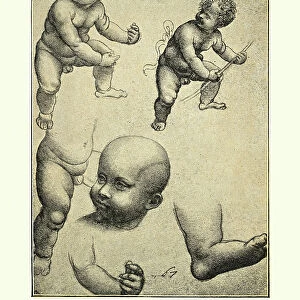 Studies of Infants by Leonardo Da Vinci, Renaissance art
