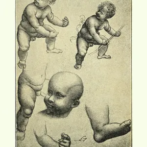Studies of Infants by Leonardo Da Vinci, Renaissance art Studies of Infants by Leonardo Da Vinci, Renaissance art