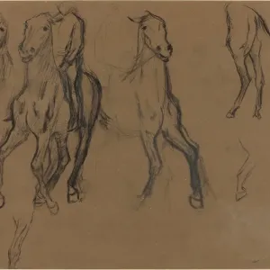 Study Of Horses Study Of Horses