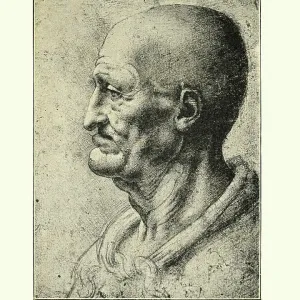 Study of an old man, Leonardo Da Vinci Study of an old man, Leonardo Da Vinci