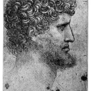 Study Sketch of a Man Print Study Sketch of a Man Print