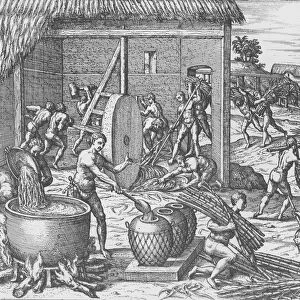 Sugar Refining In The 16th Century