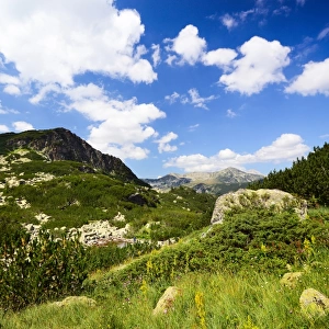 Summer landscape from Pirin national park