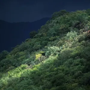 Sunlight Shining Through Storm Clouds onto a Darkened Landscape Sunlight Shining Through Storm Clouds onto a Darkened Landscape