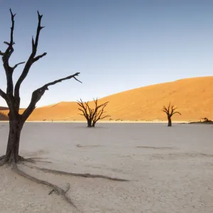 Sunrise at Dead Vlei, Sossusvlei, Namibia