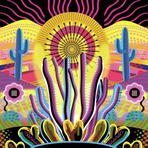 Sunrise Landscape Desert Garden, Saguaro, Ocotillo and flowering cactus