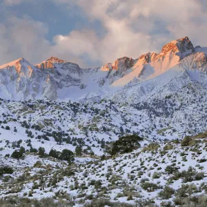 Sunrise on Mt. Humphreys, Sierra Nevada Mountains, California, USA