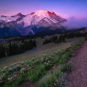 Sunrise At Sunrise Area in Mount Rainier National Park