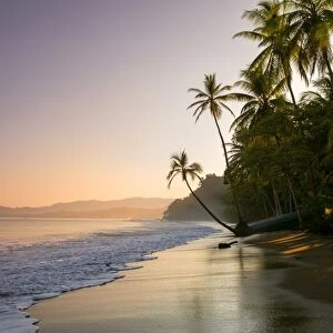 Sunset on palm fringed beach, Costa Rica