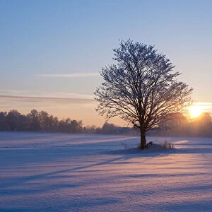 Sunset on a snowy winter landscape, Lower Saxony, Germany, Europe