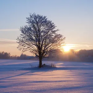 Sunset on a snowy winter landscape, Lower Saxony, Germany, Europe