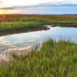 Sunset over tidal marsh at Massachusetts Audubons Wellfleet Bay Wildlife Sanctuary, Wellfleet, Cape Cod, Massachusetts, USA