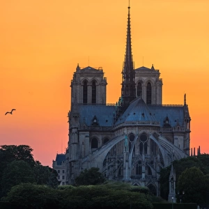 Sunset view of Notre Dame cathedral