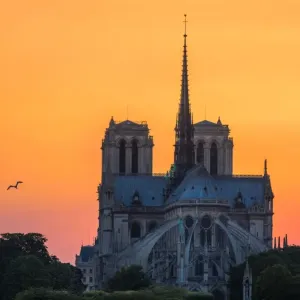 Sunset view of Notre Dame cathedral Sunset view of Notre Dame cathedral