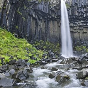 Svartifoss waterfall, Skaftafell National Park, Southern Region, Iceland