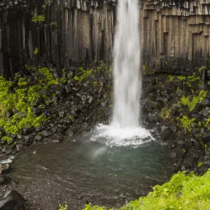 Svartifoss waterfall, Skaftafell National Park, Southeast Iceland, Iceland