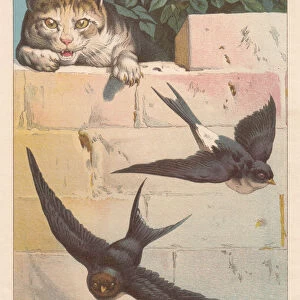 Swallows and cat, lithograph, published in 1884