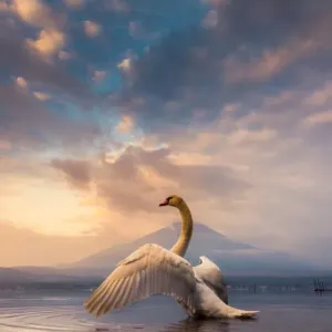 Mt. Fuji Print: Swan in Flight
