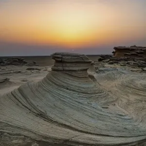 Swirly Fossil Rock Swirly Fossil Rock