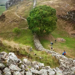 Sycamore Gap, Hadrian's Wall, Northumberland, England