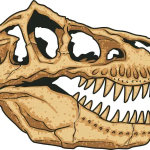 Tyrannosaurus Rex Skull Print