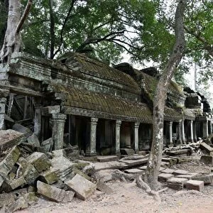 Ta Prohm Angkor temple Siem Reap Cambodia