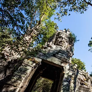 Ta Prohm Gate Siem Reap Cambodia