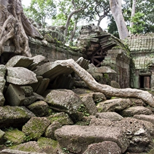 Ta Prohm temple wall overgrown with trees