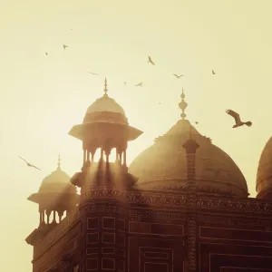 Taj Mahal Taj Mahal