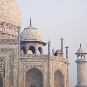 Taj Mahal domes