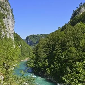 Tara river and canyon, Durmitor National Park, Unesco World Heritage Site, Crna Gora, Montenegro