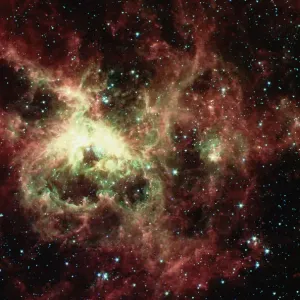 Tarantula Nebula Tarantula Nebula