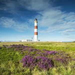 Tarbat Ness Lighthouse Print Tarbat Ness Lighthouse Print