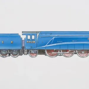 LNER Mallard Steam Locomotive Print LNER Mallard Steam Locomotive Print