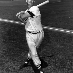 Ted Williams Ted Williams