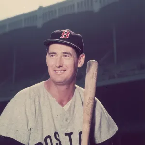 Ted Williams Ted Williams