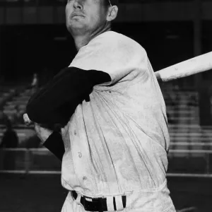 Ted Williams Ted Williams