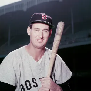 Ted Williams Ted Williams