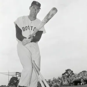 Ted Williams in Batting Position and Wearing Baseball Uniform Ted Williams in Batting Position and Wearing Baseball Uniform