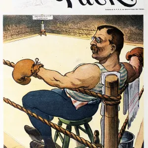 Teddy Roosevelt As Pugilist Teddy Roosevelt As Pugilist