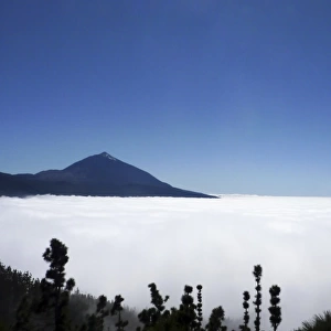 Teide volcano above a sea of clouds