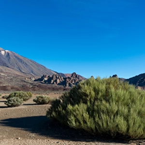 Teide Volcano Tenerife