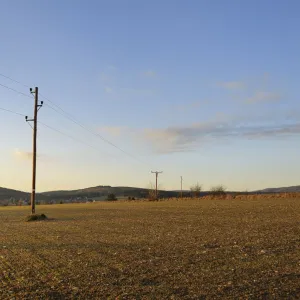 Images Dated 2009 November: 12 Nov 2009