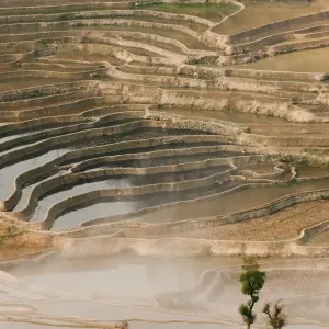 Yuanyang Rice Terraces Print