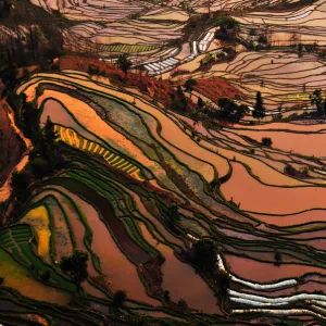 UNESCO World Heritage Framed Print Collection: Yuanyang Rice Terraces