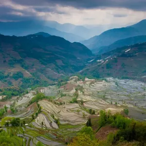 Yuanyang Rice Terraces Print