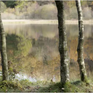 Terry Roberts Landscape Photography