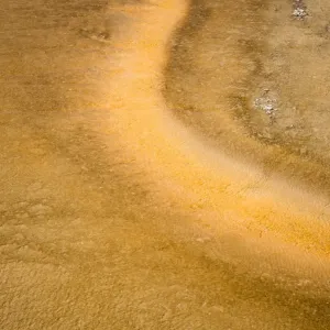 Textures on Old faithful Geyser Basin Textures on Old faithful Geyser Basin