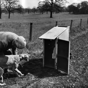 Photographers Framed Print Collection: Raymond Kleboe